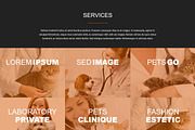 Pet Veterinary, a Bootstrap Template by VALIASOLUTION SHOP (Thumbnail 4 of 7)