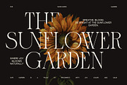 Marune Elegant Serif Font, a Serif Font by Graphicxell (Thumbnail 2 of 8)