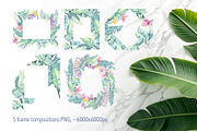 Banana blossom plants Watercolor set, an Illustration by Shabbypie (Thumbnail 8 of 13)