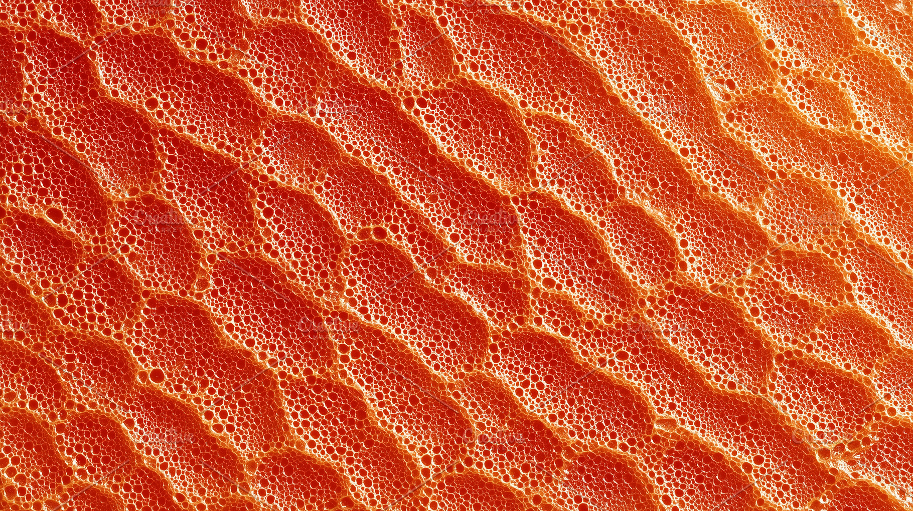 Abstract macro background of vibrant, a Background Photo by MistyDay