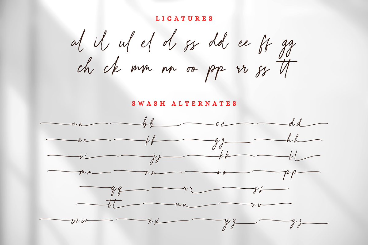 Hildera Script, a Script Font by Sronstudio (Photo 15 of 15)