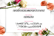 Hello Master FONT DUO with Doodle, a Script Font by Alpha Bento (Thumbnail 6 of 8)