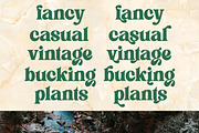 Flagfies - Modern Retro Font, a Serif Font by Dhabee (Thumbnail 3 of 15)