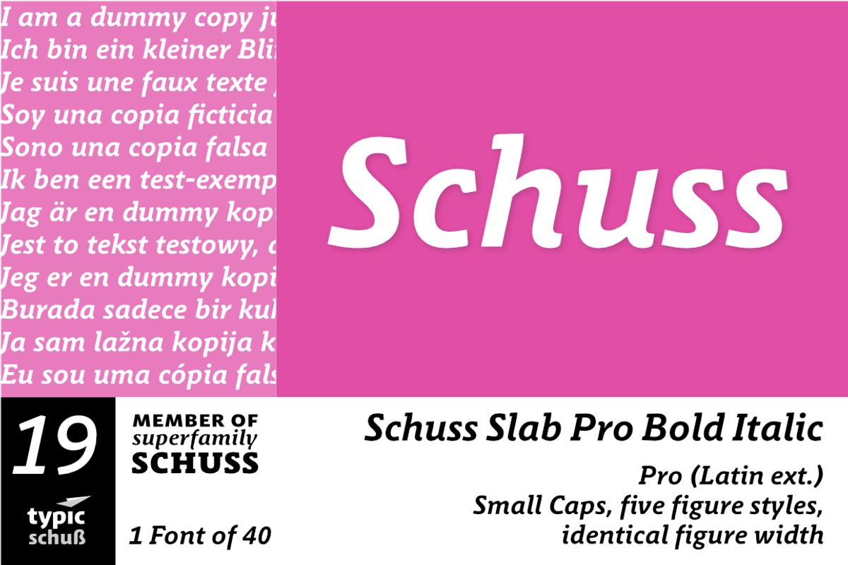 SchussSlabProBoldIta No.19 (1 Font)