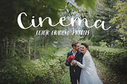 Premiere Pro wedding presets, an Action Add-On by Fotomarket (Thumbnail 1 of 5)