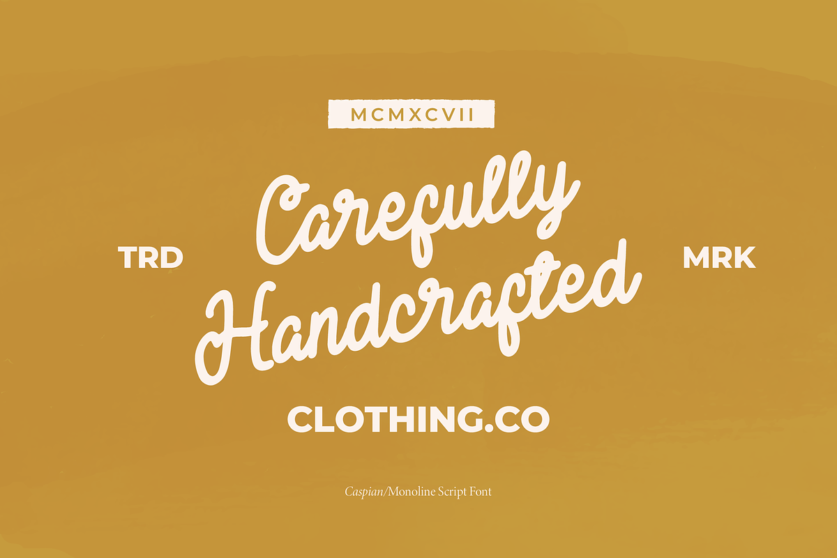 Caspian | Monoline Script, a Script Font by Denustudios (Photo 6 of 15)
