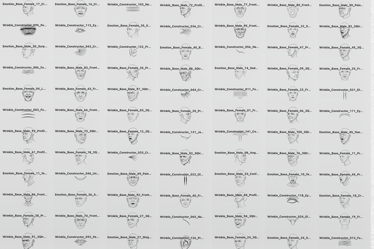 Wrinkled Face Stamp Brushes Set, a Brush Add-On by Selentaori Studio (Photo 2 of 13)