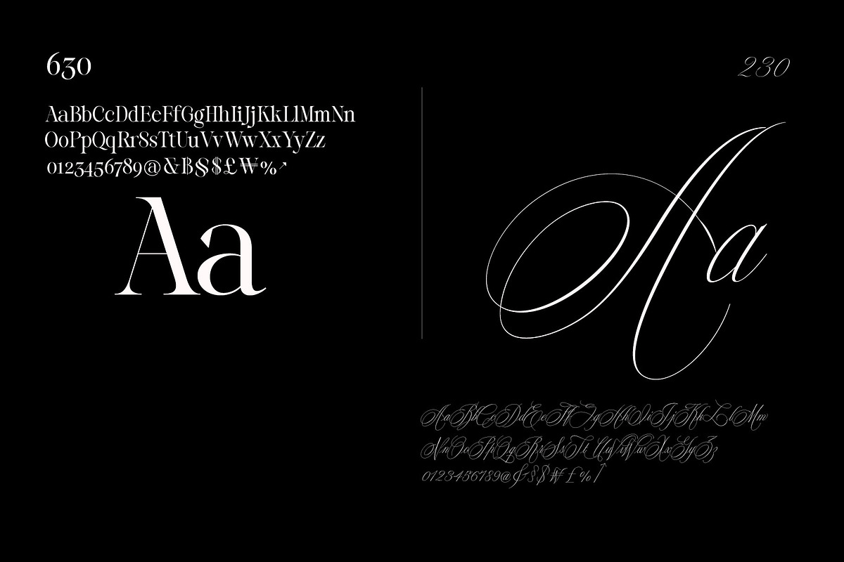 Reichamerina font family, a Serif Font by Ryul Davidson (Photo 16 of 27)