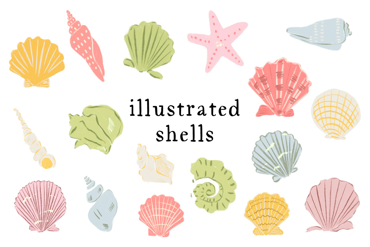 Illustrated Shells, an Object Illustration by Olive & Lu Paper (Photo 1 of 3)