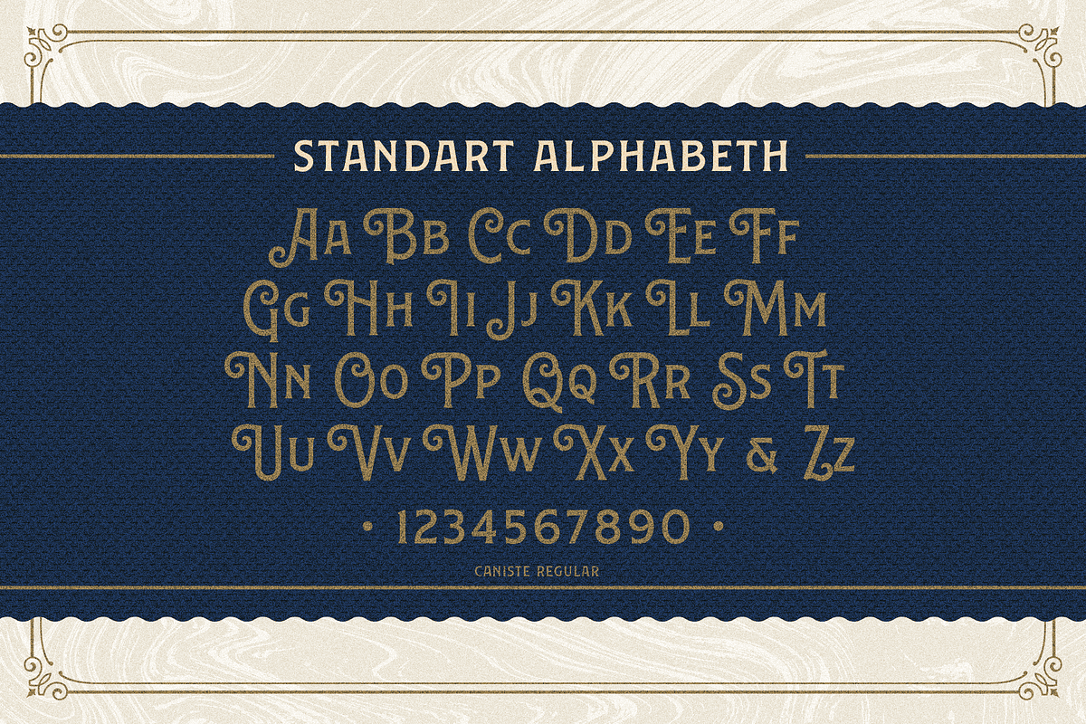 Caniste Font Family preview 5