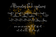 Boykwet Script - Stylish Font, a Script Font by Favo Write (Thumbnail 12 of 13)