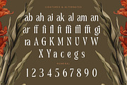 Magiora Tall Modern Serif Font, a Serif Font by timelesstype.co (Thumbnail 18 of 20)