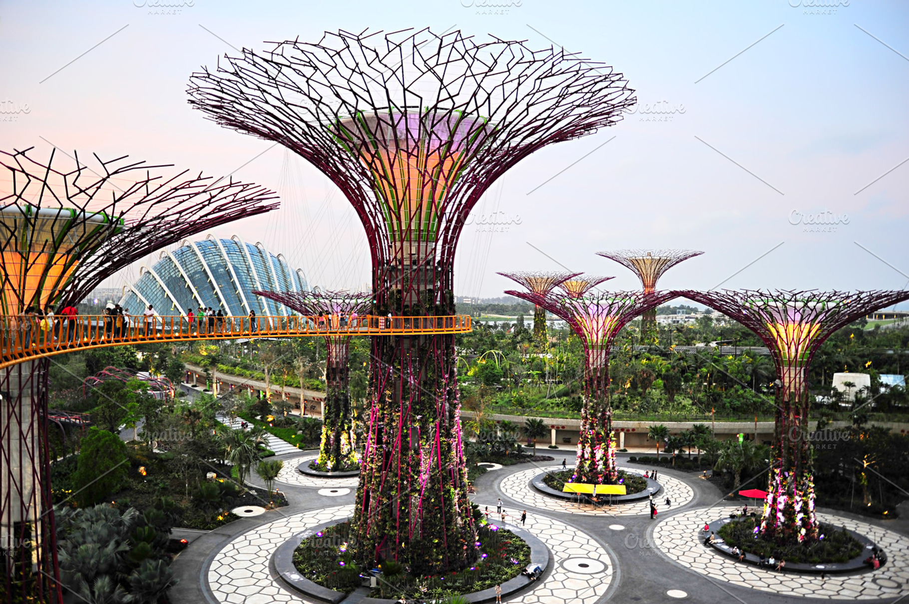 Gardens by the bay singapore featuring garden, tree, and light, an Architecture Photo by joyt