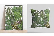 Indoor Plants VECTOR illustrations, a Seasonal Illustration by Natalka Dmitrova art (Thumbnail 11 of 16)