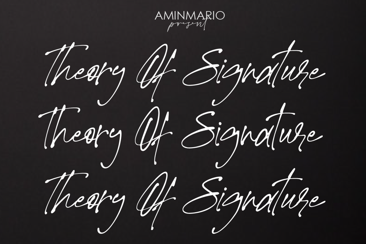 Theory Of Signature, a Script Font by AMINMARIO (Photo 1 of 9)