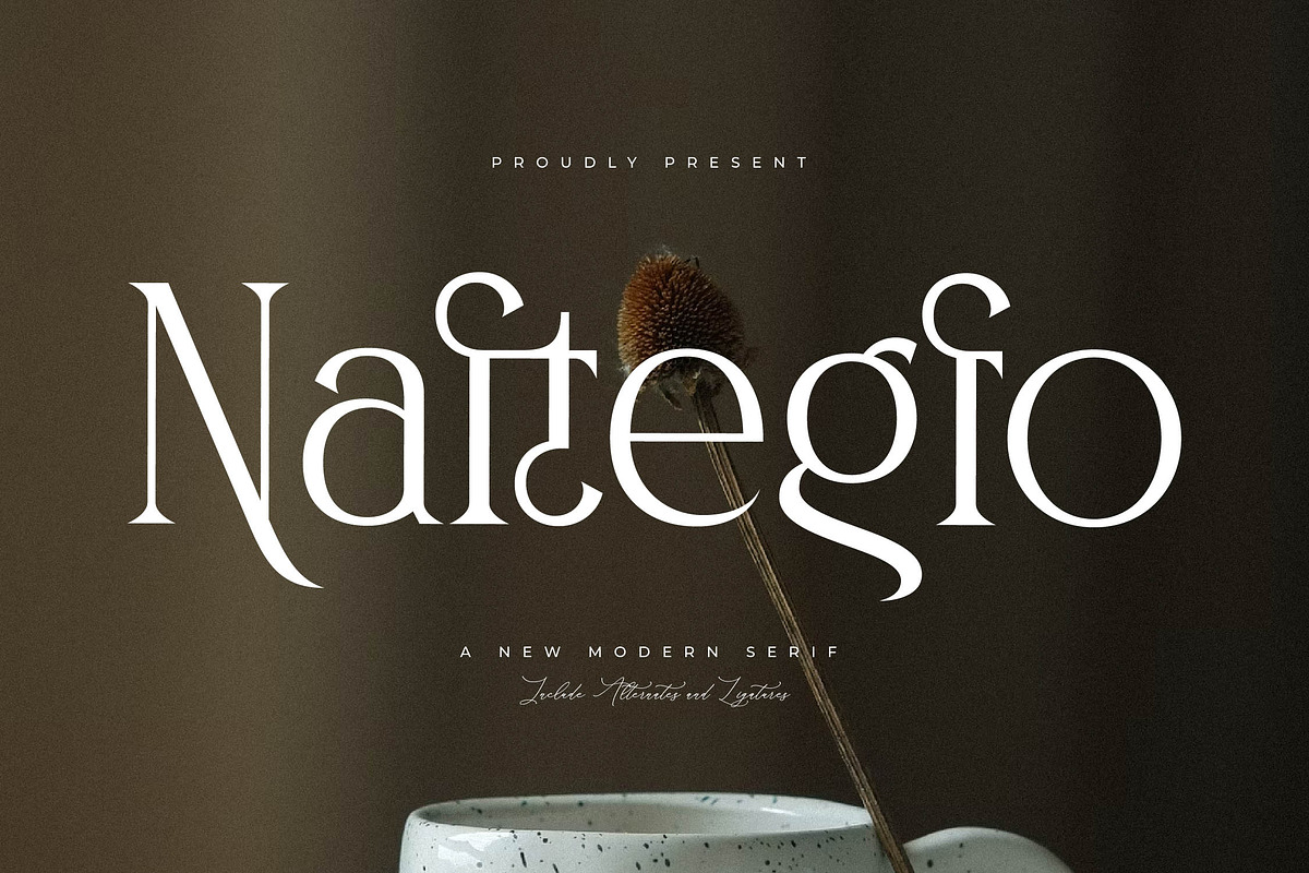 Naftegfo A New Modern Serif, a Serif Font by Storytype Studio (Photo 1 of 15)