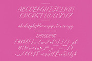 Petalip Orchid Modern Freestyle, a Script Font by Letterena Studios Script (Thumbnail 13 of 15)