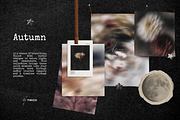 Autumn Twilight: Vintage Backgrounds, a Texture Graphic by TiriCo (Thumbnail 11 of 13)
