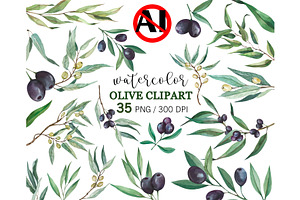 Olive Watercolor Clipart PNG