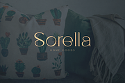 Salve - Elegant Serif + Cyrillic, a Serif Font by VP Fonts (Thumbnail 9 of 20)