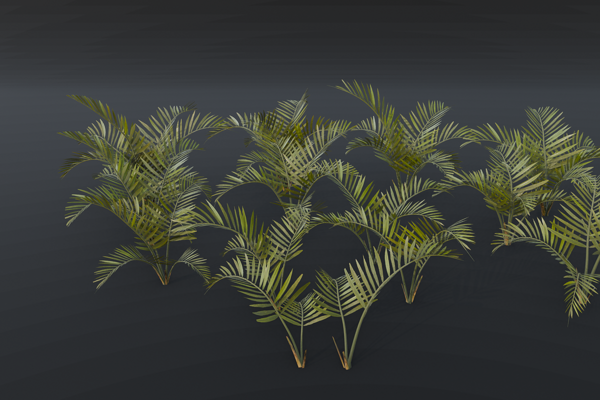 The Alexandra Palm Bush, a Plants & Tree 3D Model by FuturePastCreatives (Photo 9 of 15)