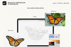Procreate Tutorial - Butterfly