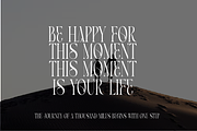 ALEGRO, a Serif Font by jaffana.co (Thumbnail 3 of 4)