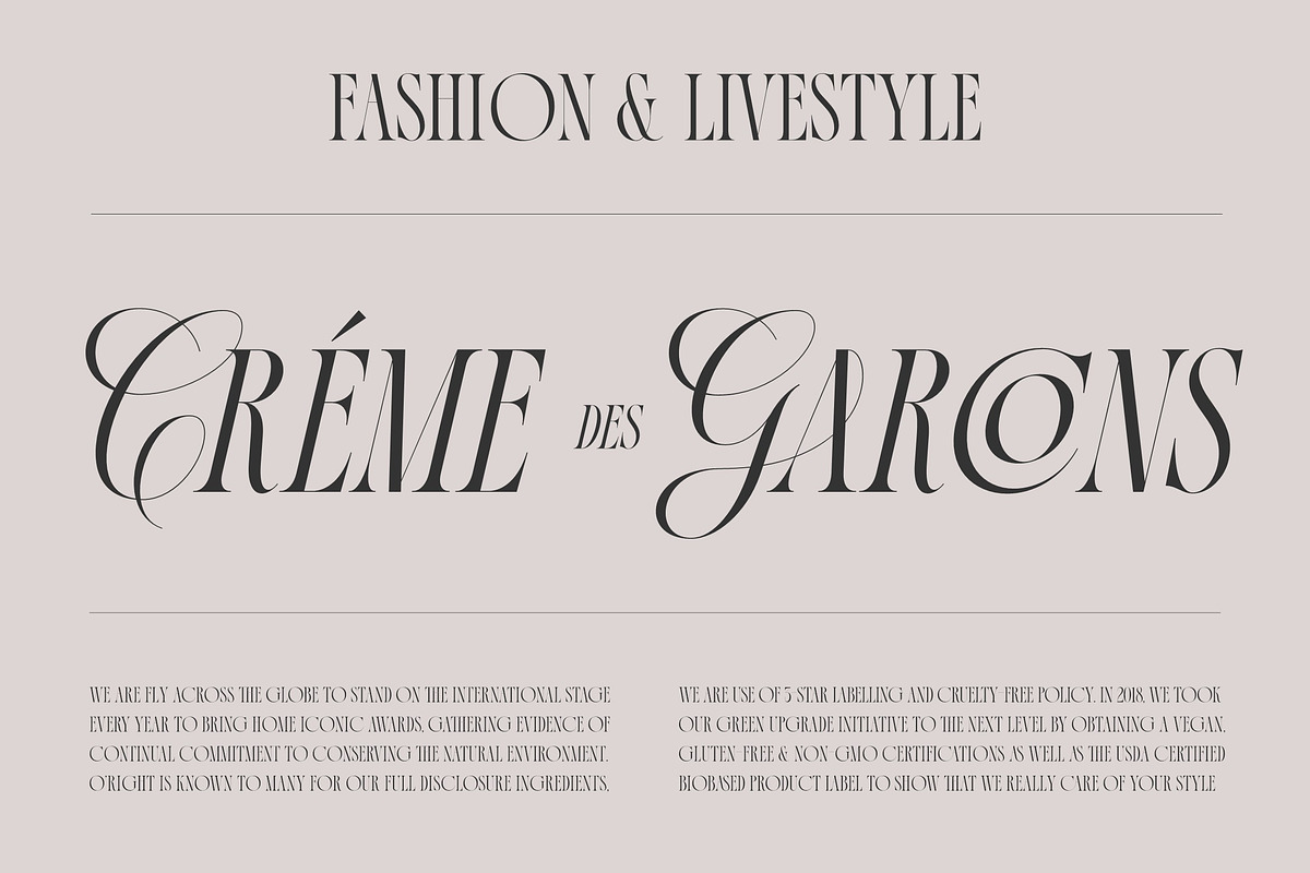 La Primera Ligature Serif, a Serif Font by Letteralle Studios (Photo 4 of 13)