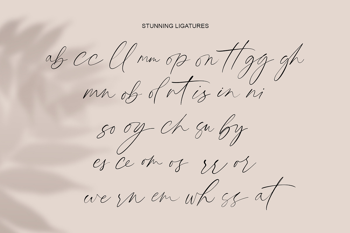 columbia, a Script Font by Teweka (Photo 11 of 12)