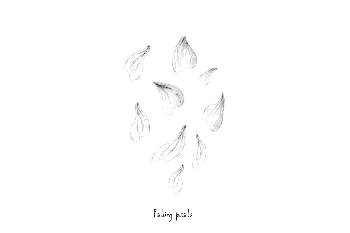 Malva (Mallow) Hand Sketches, an Object Graphic by VictoriaKStudio (Photo 7 of 8)