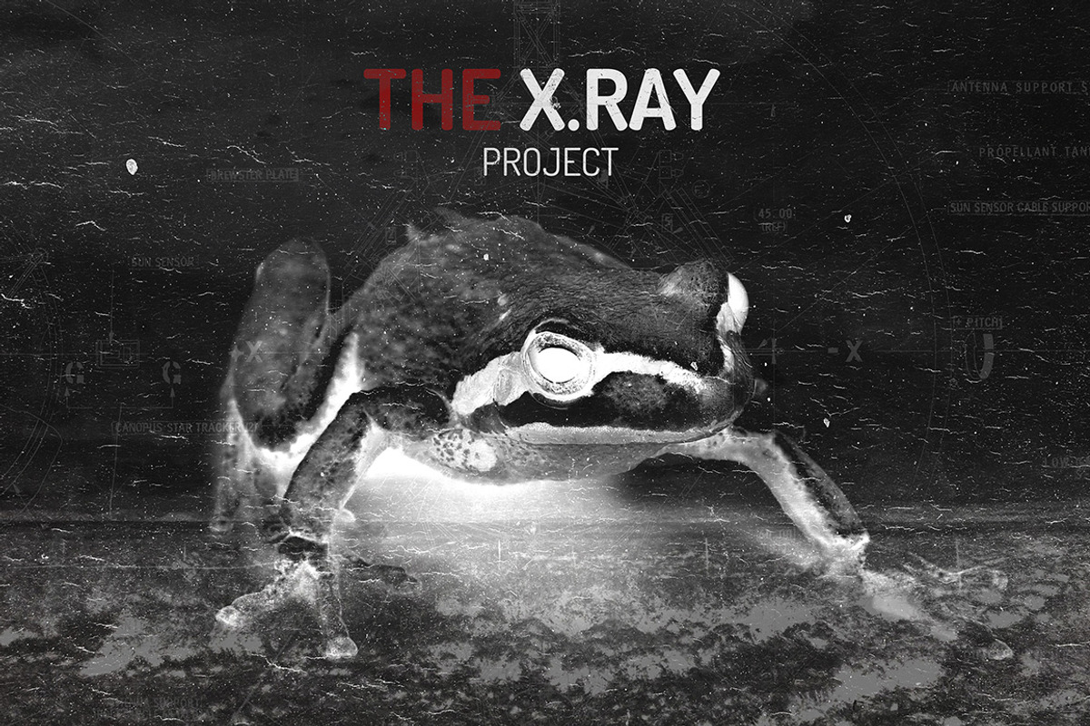 The X.RAY Theory preview 3