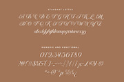 Helyna Elegant Script Font, a Script Font by RantautypeStudio (Thumbnail 17 of 19)