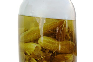 Salt domestic cucumber, a Photo by saiko3p
