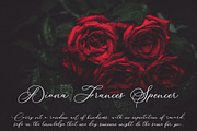 Betty Laudia | Modern Calligraphy, a Script Font by Khalidin.Ink (Thumbnail 4 of 15)
