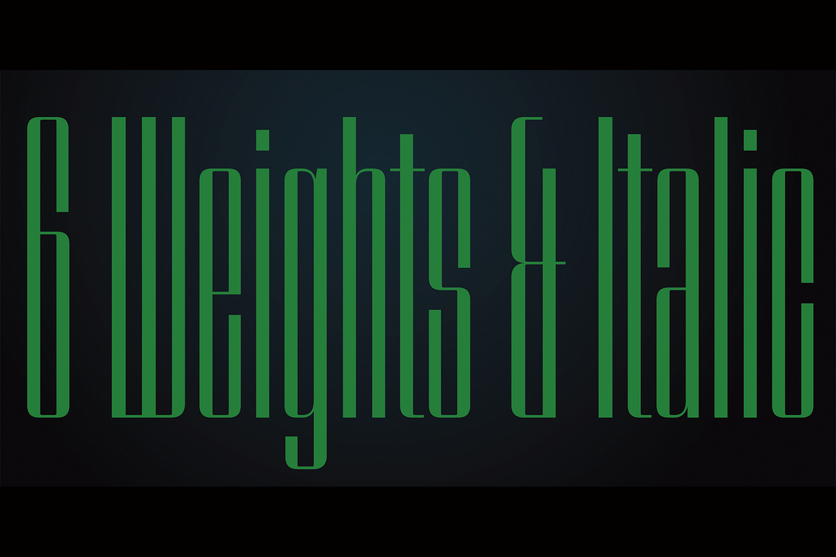 Speedometer, a Sans Serif Font by Dharma Type (Photo 9 of 10)