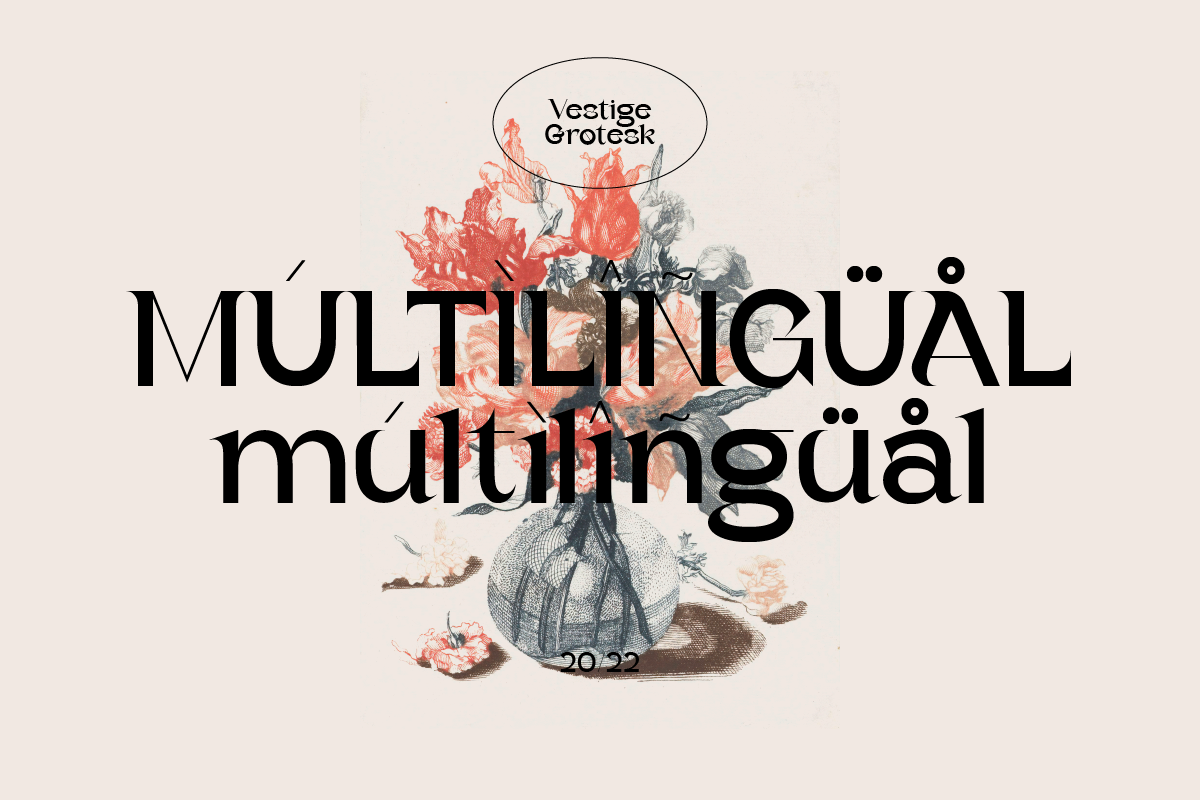 Vestige Grotesk Modern Typeface, a Serif Font by Ronny Studio (Photo 11 of 13)
