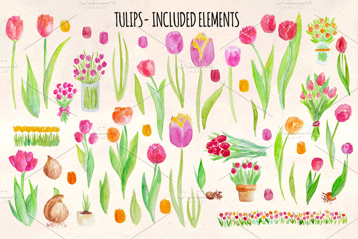 53 Bright Tulip Watercolor Clip Art, a Seasonal Illustration by Violet LeBeaux (Photo 2 of 3)