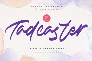 Tadcaster - Bold Script Font