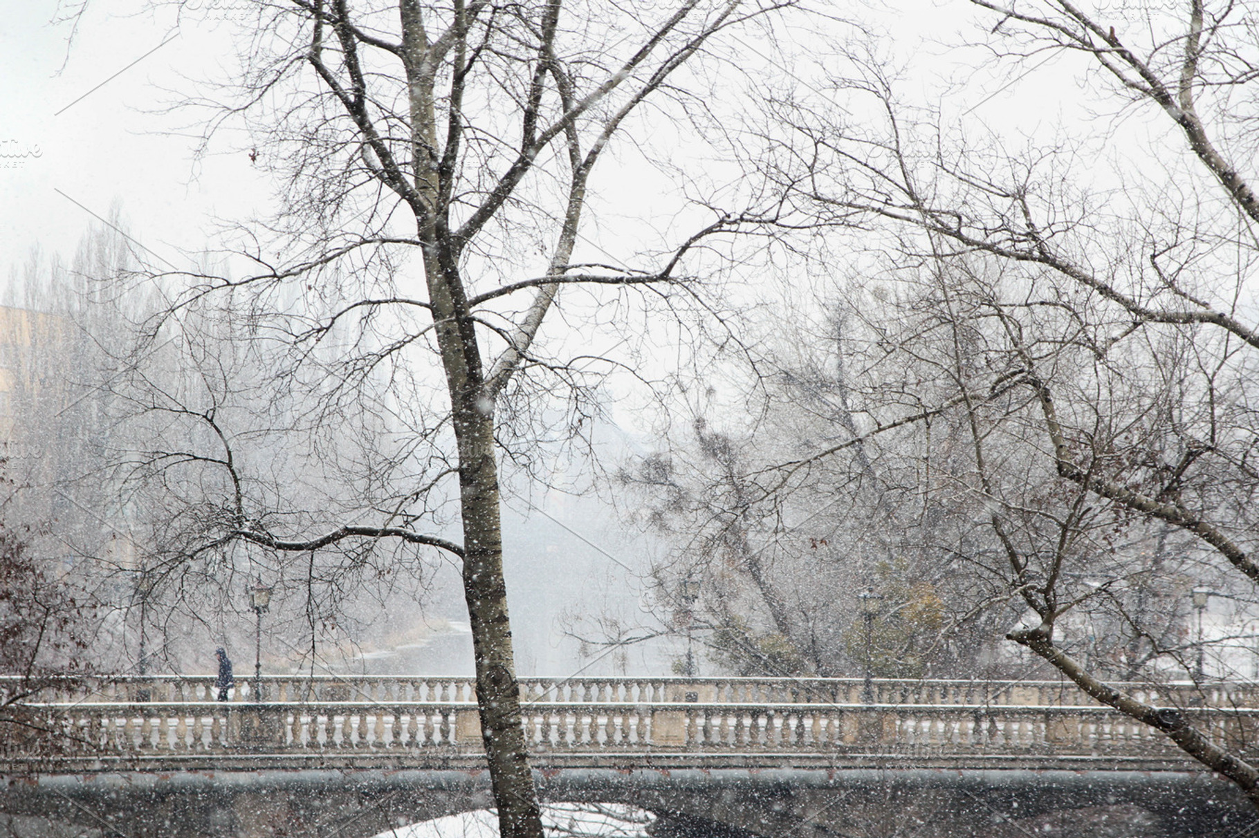 Winter wonderland stock photo containing snow and field, a Nature Photo by Justyna Ka