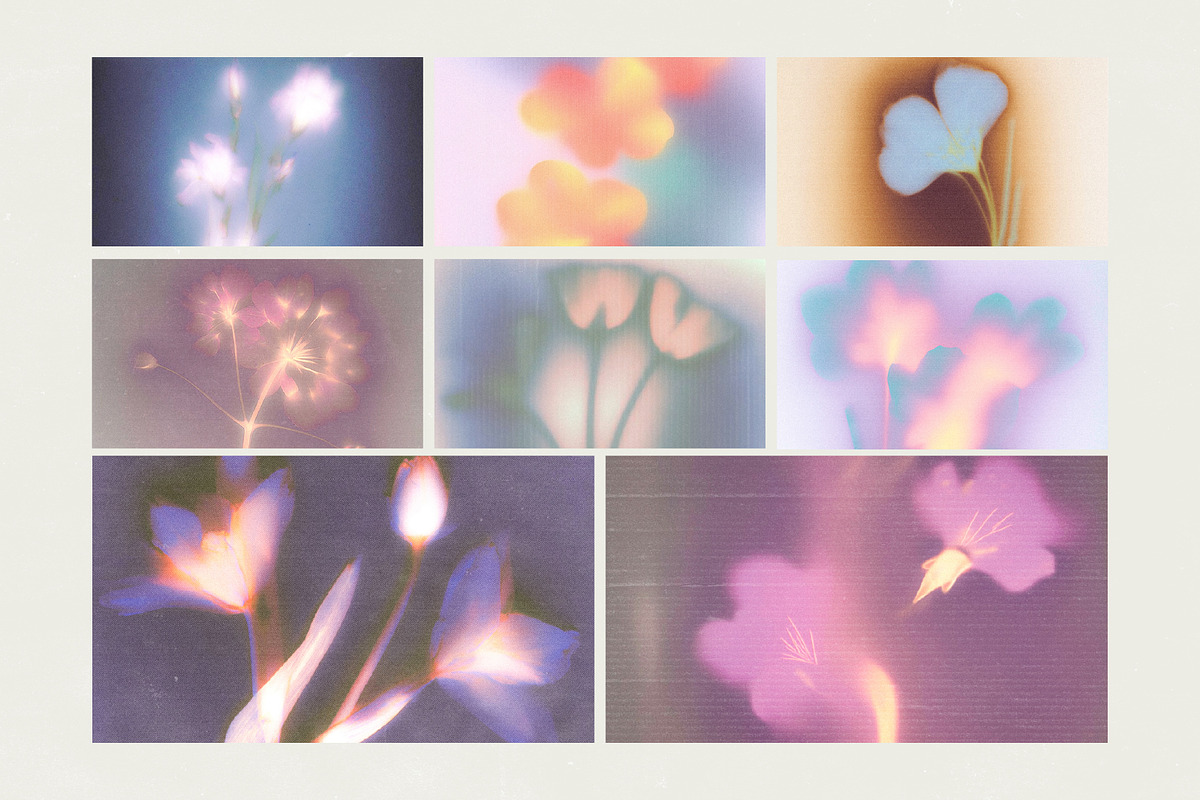 Bloom Veil: Dreamy Floral, a Background Graphic by Hello Muse (Photo 4 of 10)