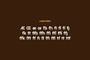 Baluarte Display Typeface, a Font by Tomas Castiglioni (Thumbnail 7 of 15)