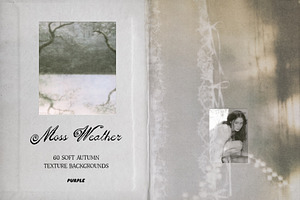 Moss Weather: Fall Backgrounds, a Texture Graphic by Purple