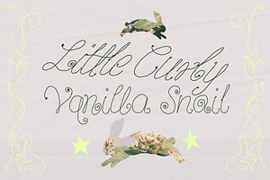 Vanilla Snail Curly Font Collection, a Handwritten Font by ana & yvy