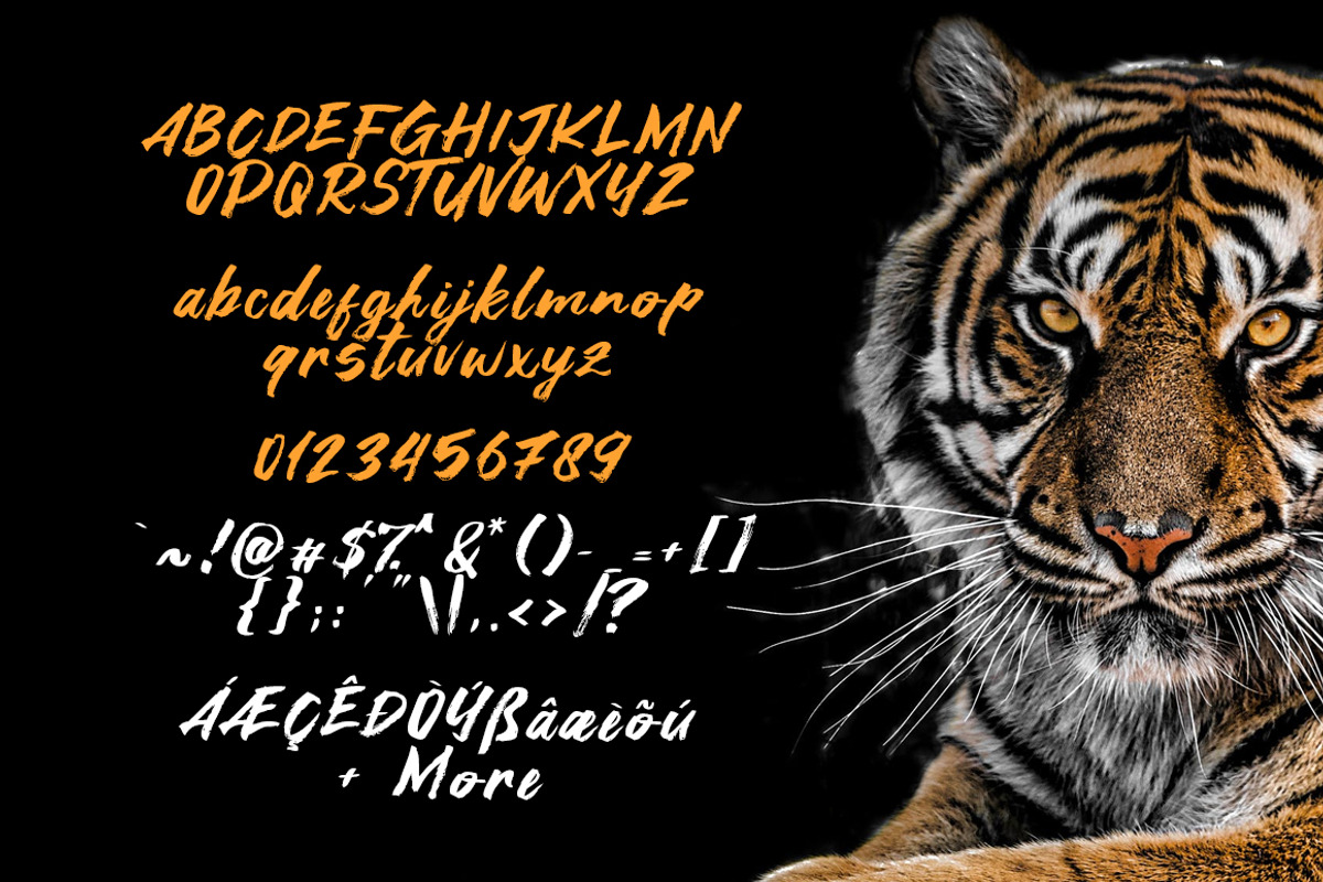 Asia Tiger Brush Font preview 5