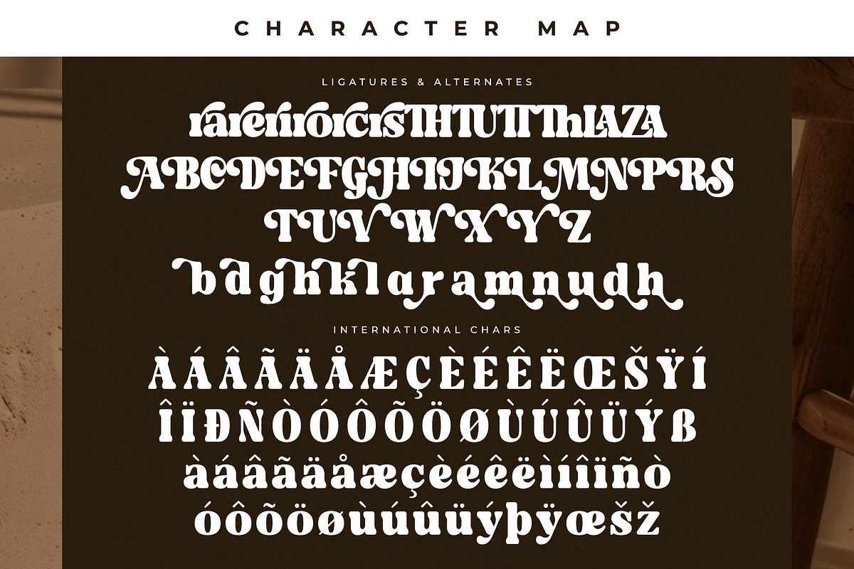 Midnight Gelactic Modern Retro Serif, a Serif Font by Letterena Studios (Photo 14 of 15)