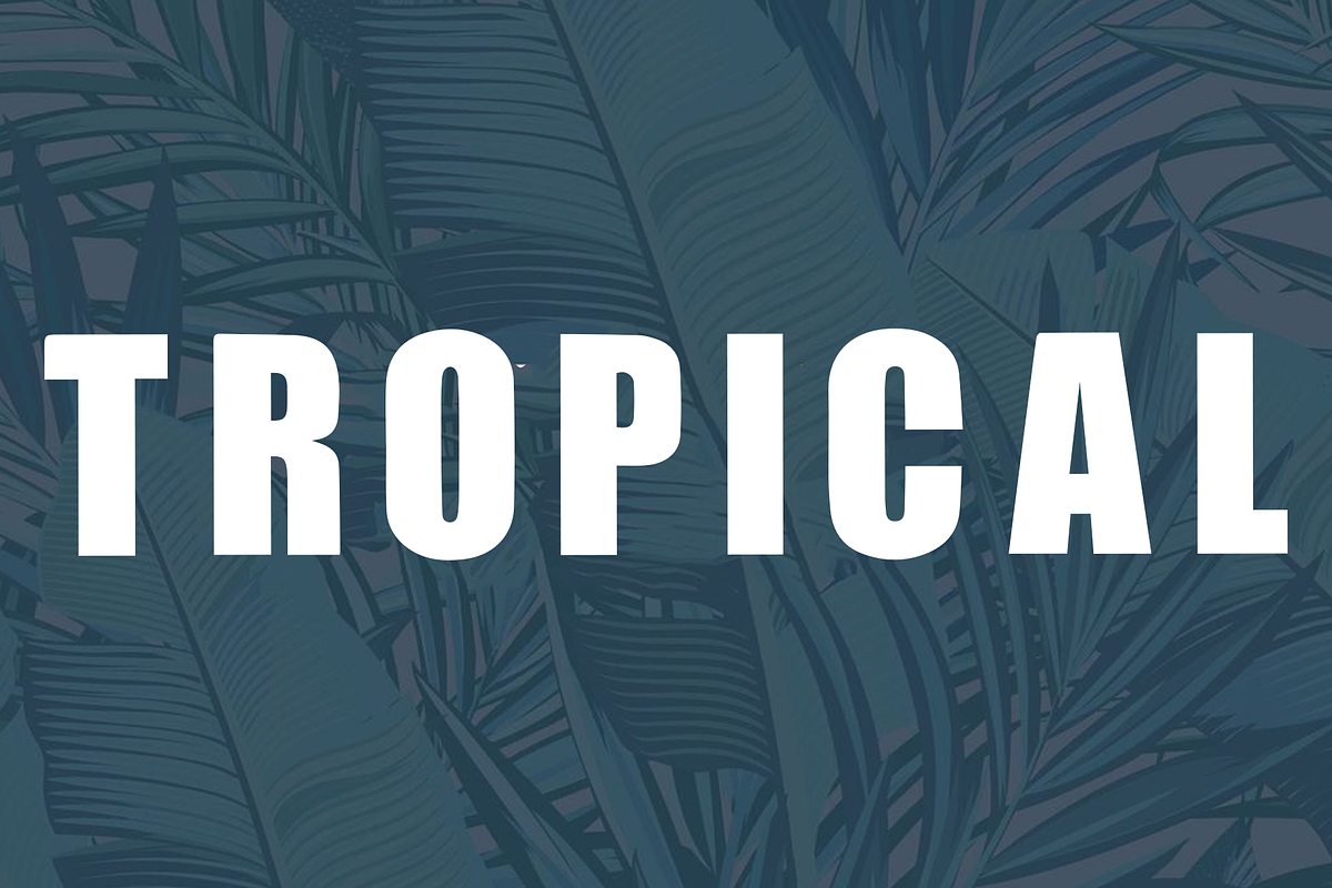 Monogram, a Script Font by InermediaSTUDIO (Photo 4 of 9)