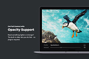 20 Wildlife Lightroom Presets & LUTs, a Preset Add-On by SparkleStock (Thumbnail 8 of 9)