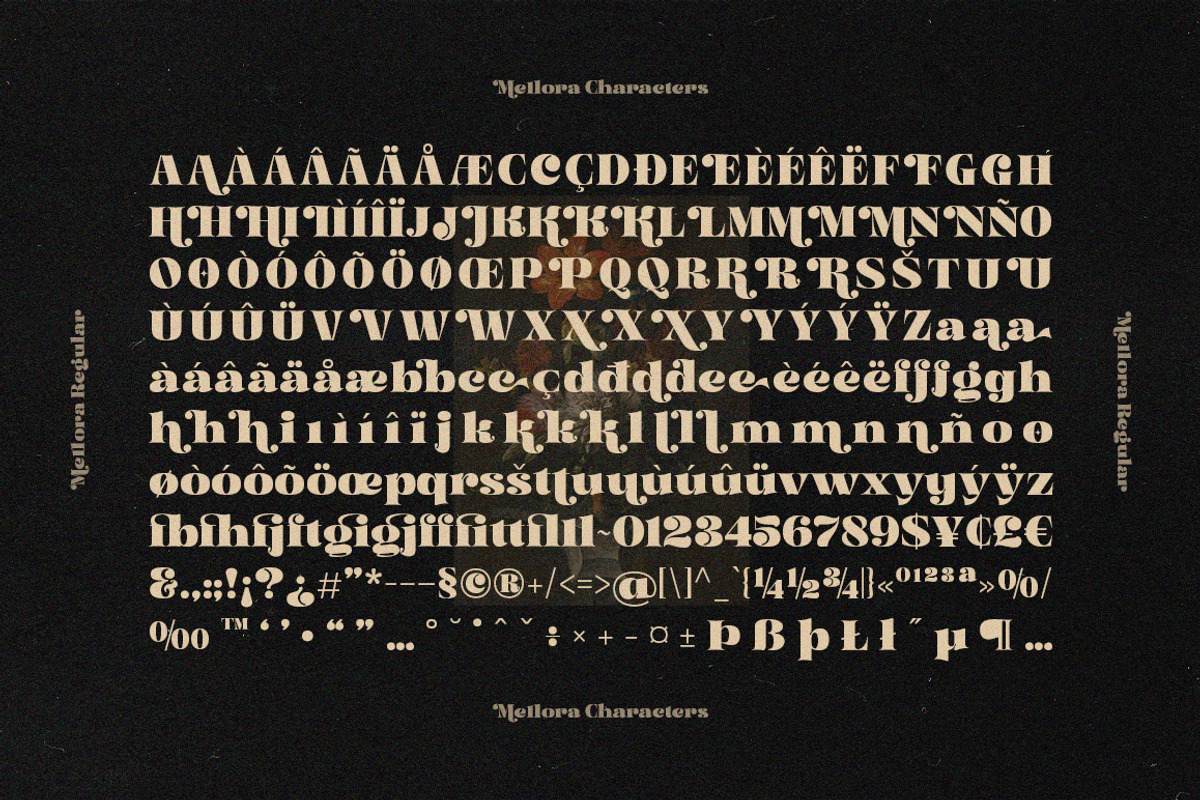 Mellora - Display Serif, a Serif Font by Fargun Studio (Photo 11 of 24)