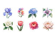 Watercolor Flowers Clipart, Spring, an Illustration by Dream Creation (Thumbnail 5 of 7)