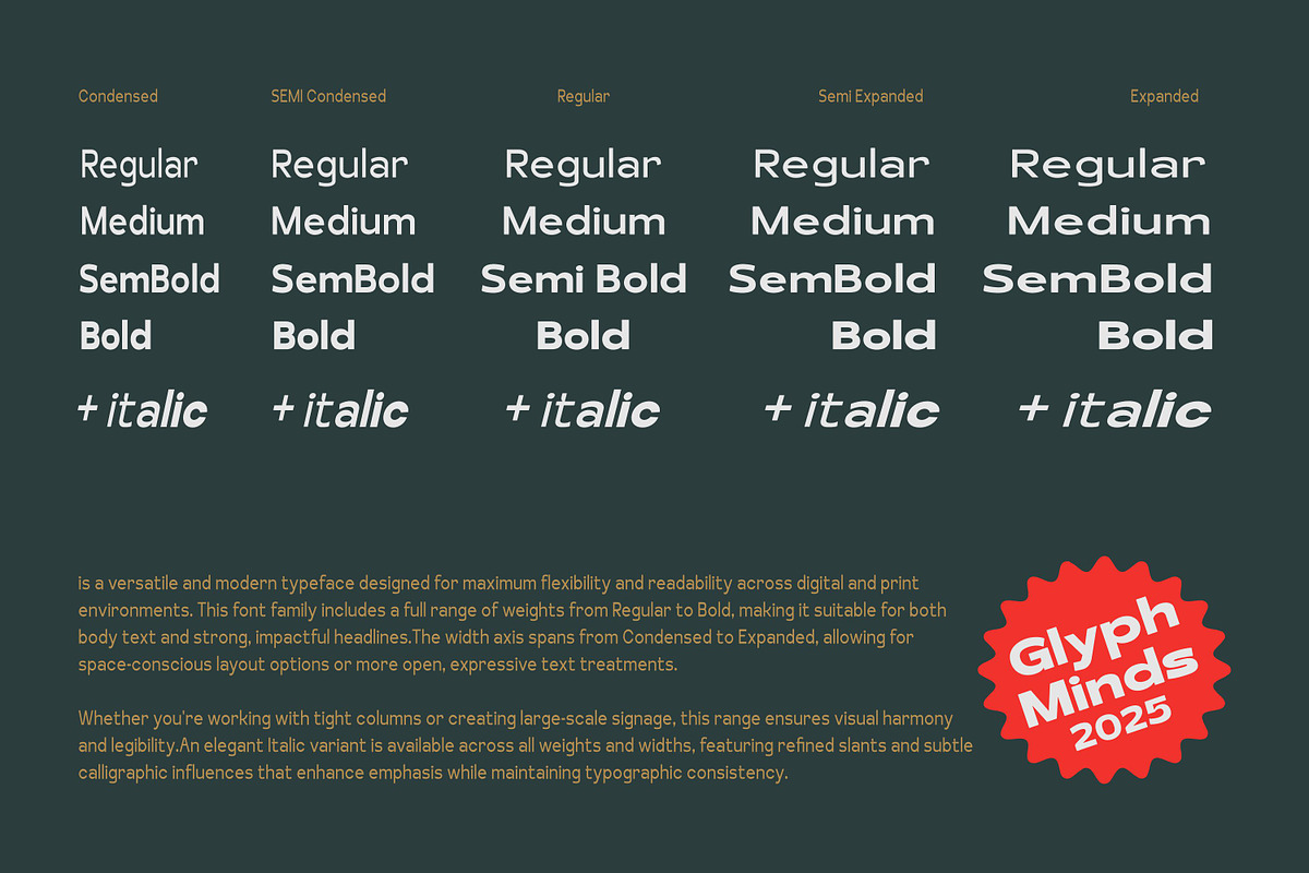 Schraft Sans Font Family, a Sans Serif Font by Glyphminds Studios (Photo 3 of 10)